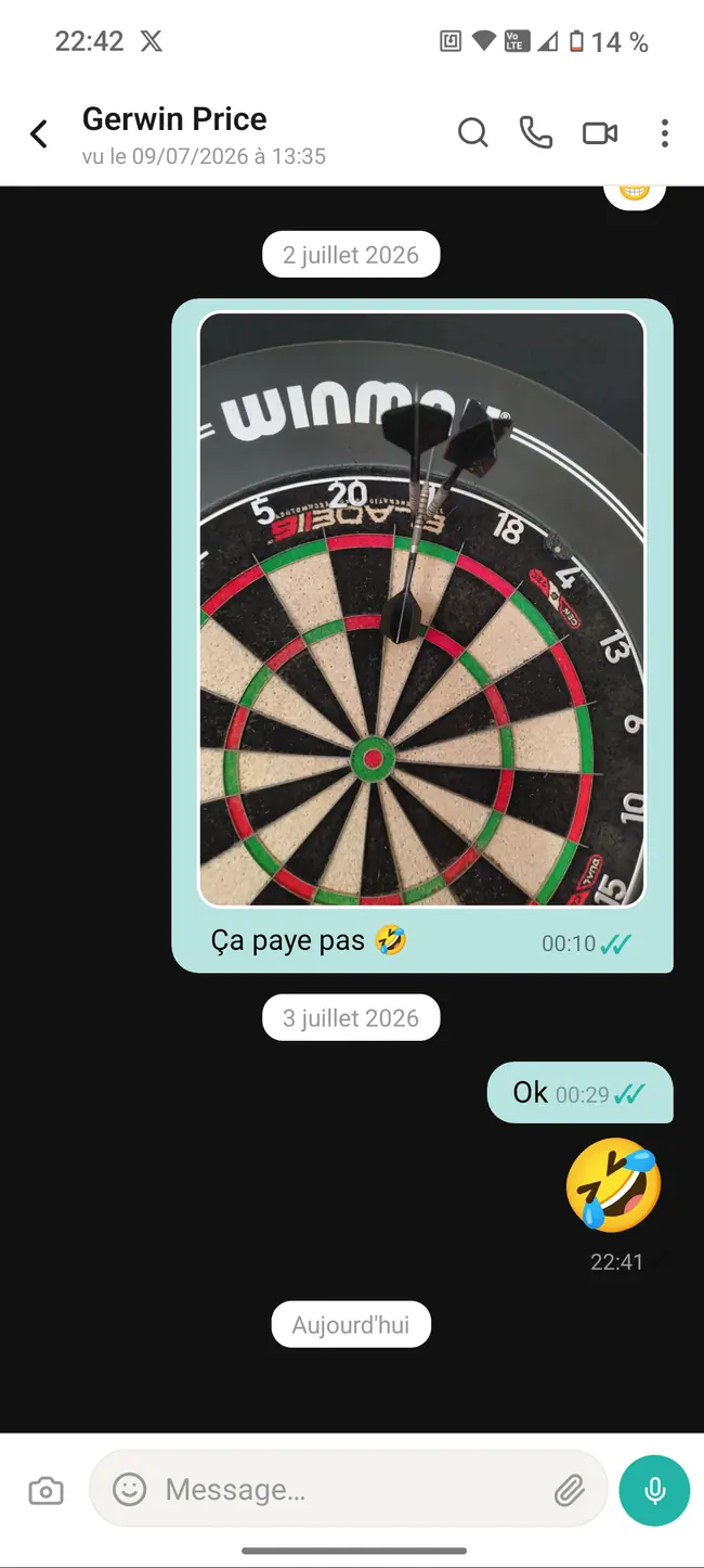 Partage de photos, vidéos, GIF et stickers dans une discussion Tryybe